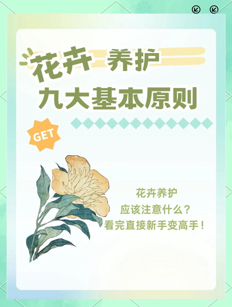 花卉养护